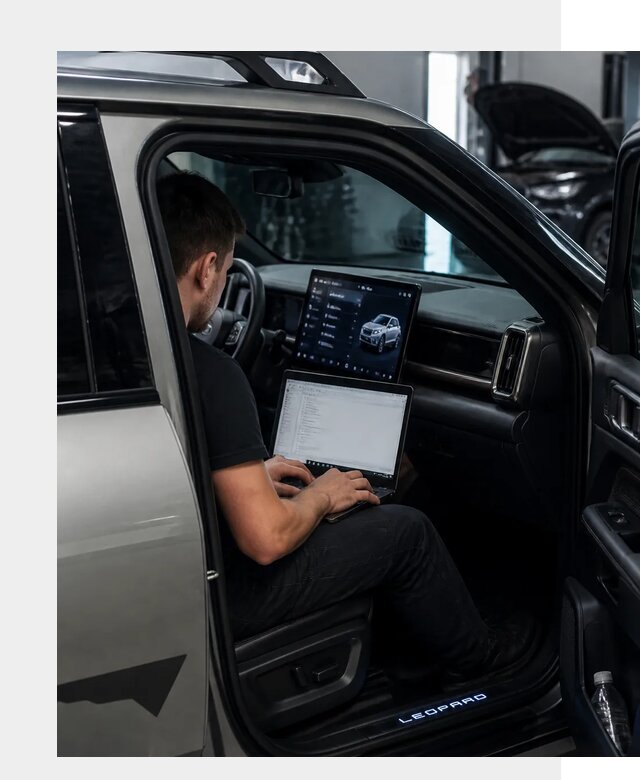 Русификация BYD Leopard 3 в Шелехове по цене от 21323 р. | ФастМобиль-Шлх